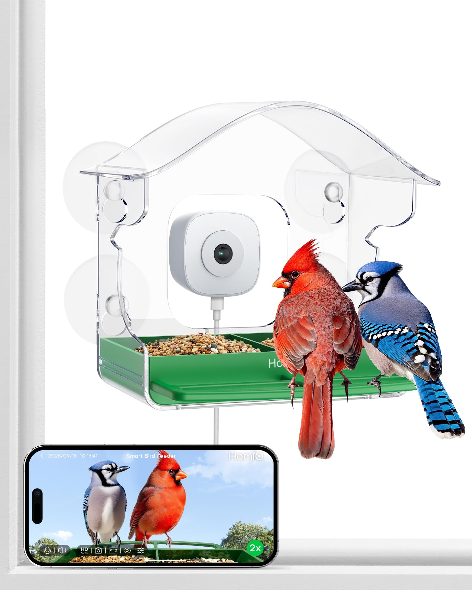 Nourrisseur d'oiseaux HomiQ sur vitre offre une observation facile et nette.