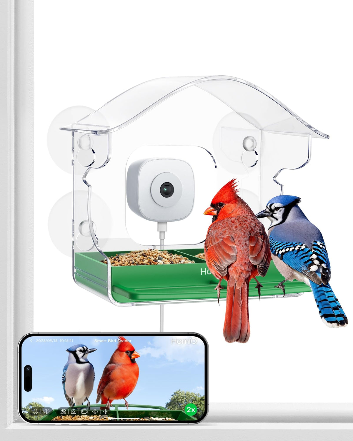 Nourrisseur d'oiseaux HomiQ sur vitre offre une observation facile et nette.