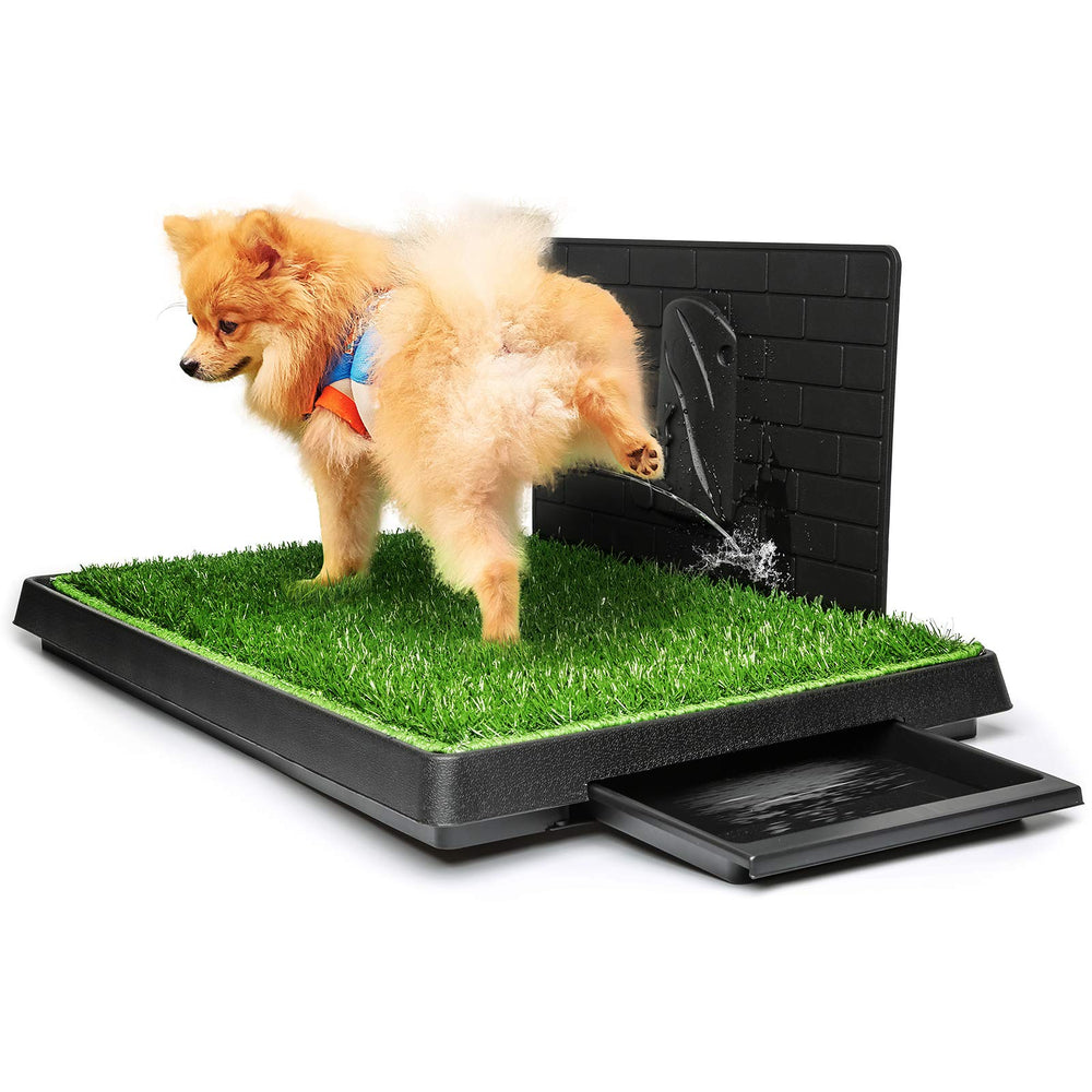 Hompet tapis herbe chien grand — entraînement intérieur facilité.