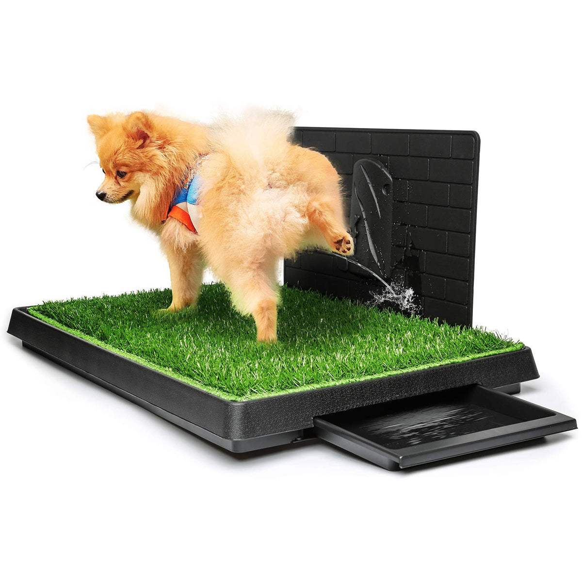 Hompet tapis herbe chien grand — entraînement intérieur facilité.