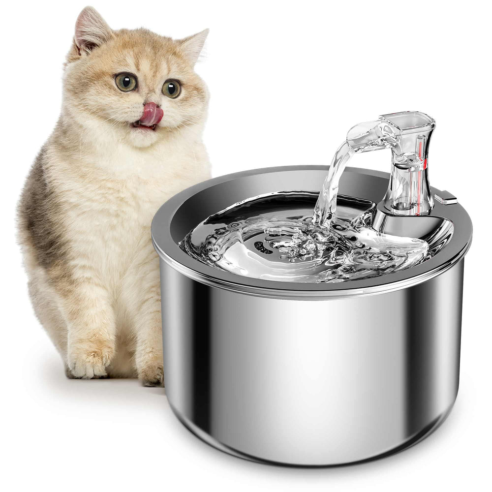 Fontaine Homtyler pour chats avec corps inox, durable et facile à nettoyer.