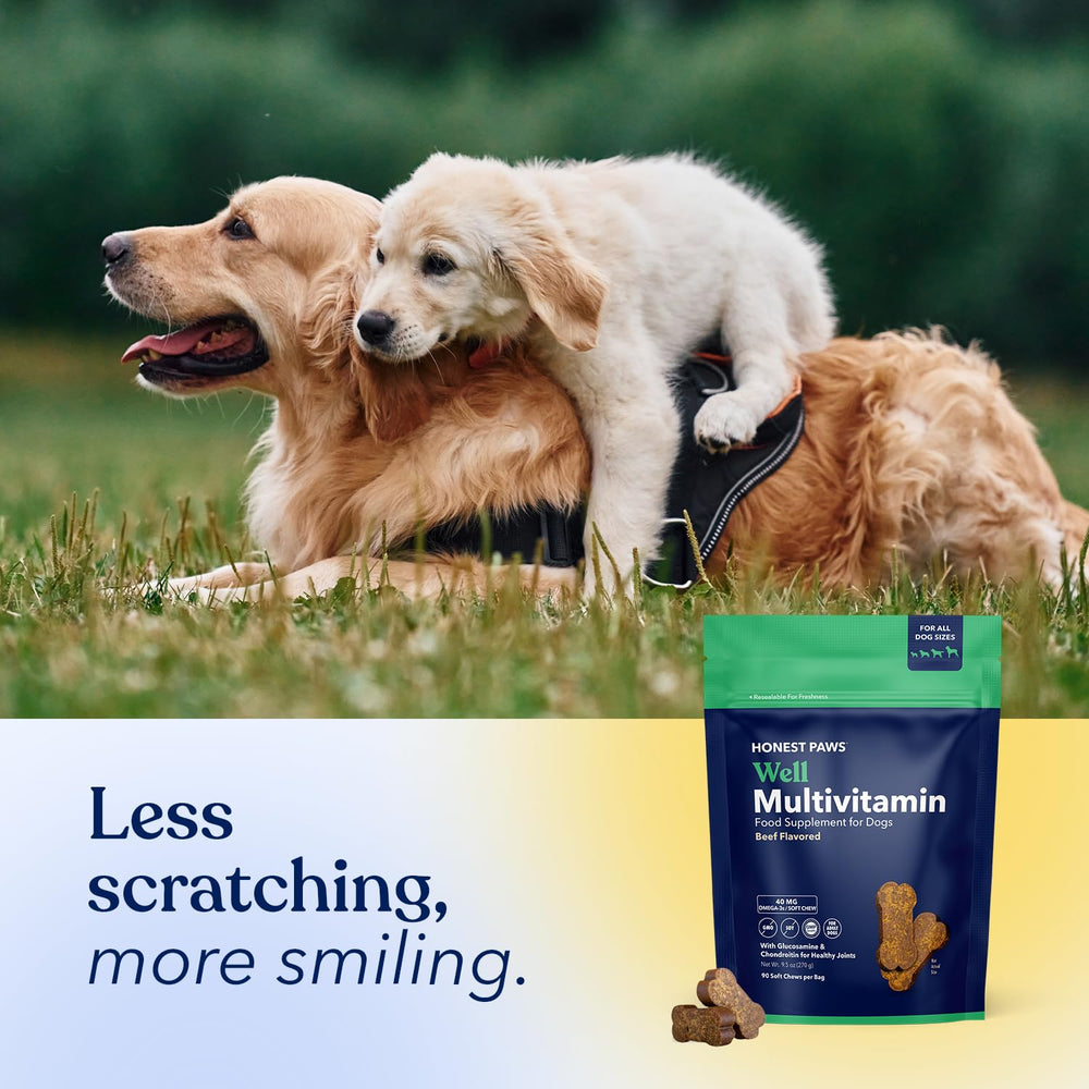 Honest Paws chondroïtine pour chien boeuf, cartilage et flexibilité.