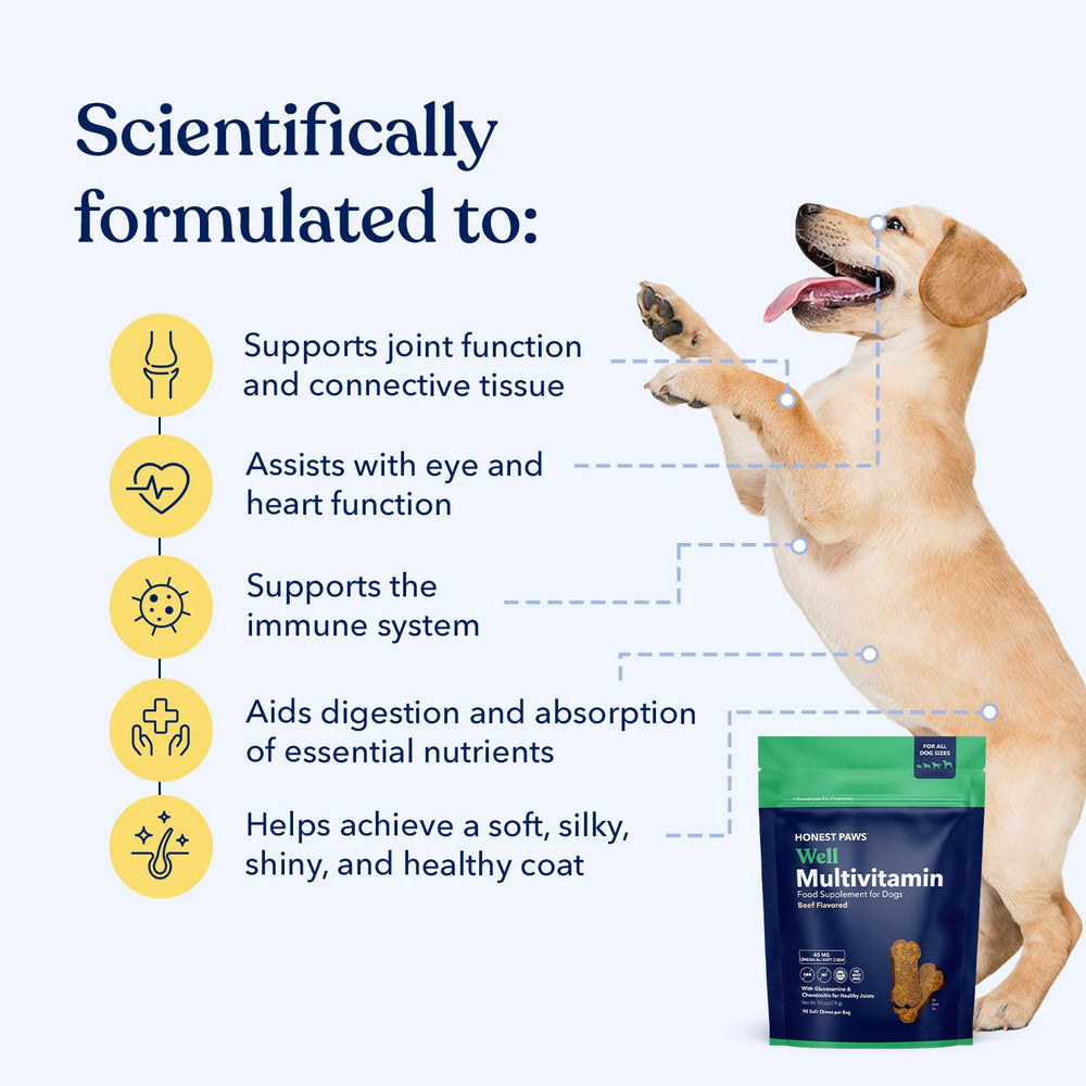Honest Paws gommes douces pour chien, saveur boeuf, texture agréable.
