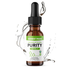 Honest Paws huile chanvre pour chien – bouteille pratique favorisant la détente au quotidien.