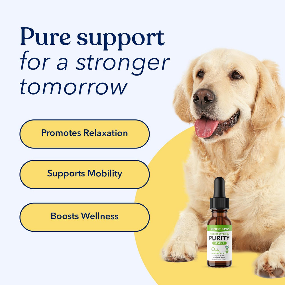 Honest Paws omega 3-6-9 huile chanvre : pour la peau et les articulations.