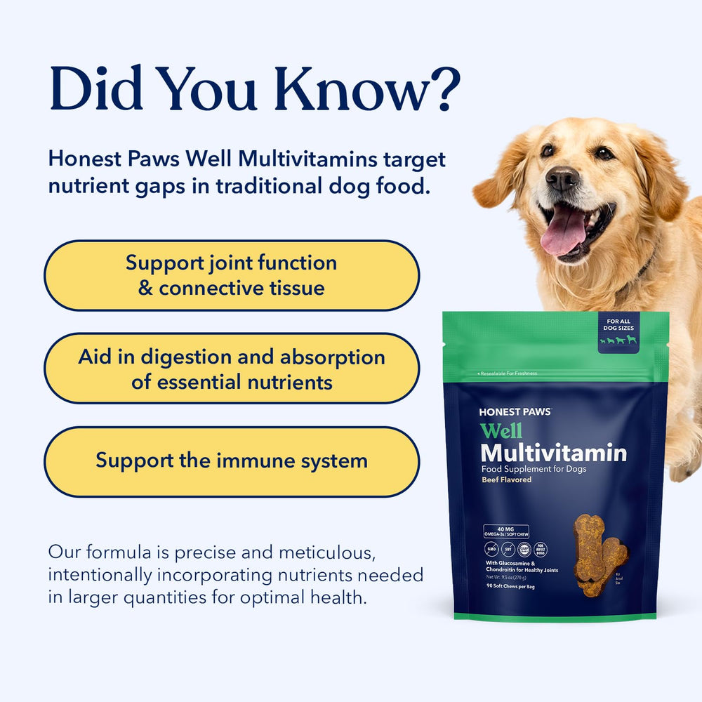 Honest Paws pelage brillant pour chien boeuf, soin esthétique naturel.