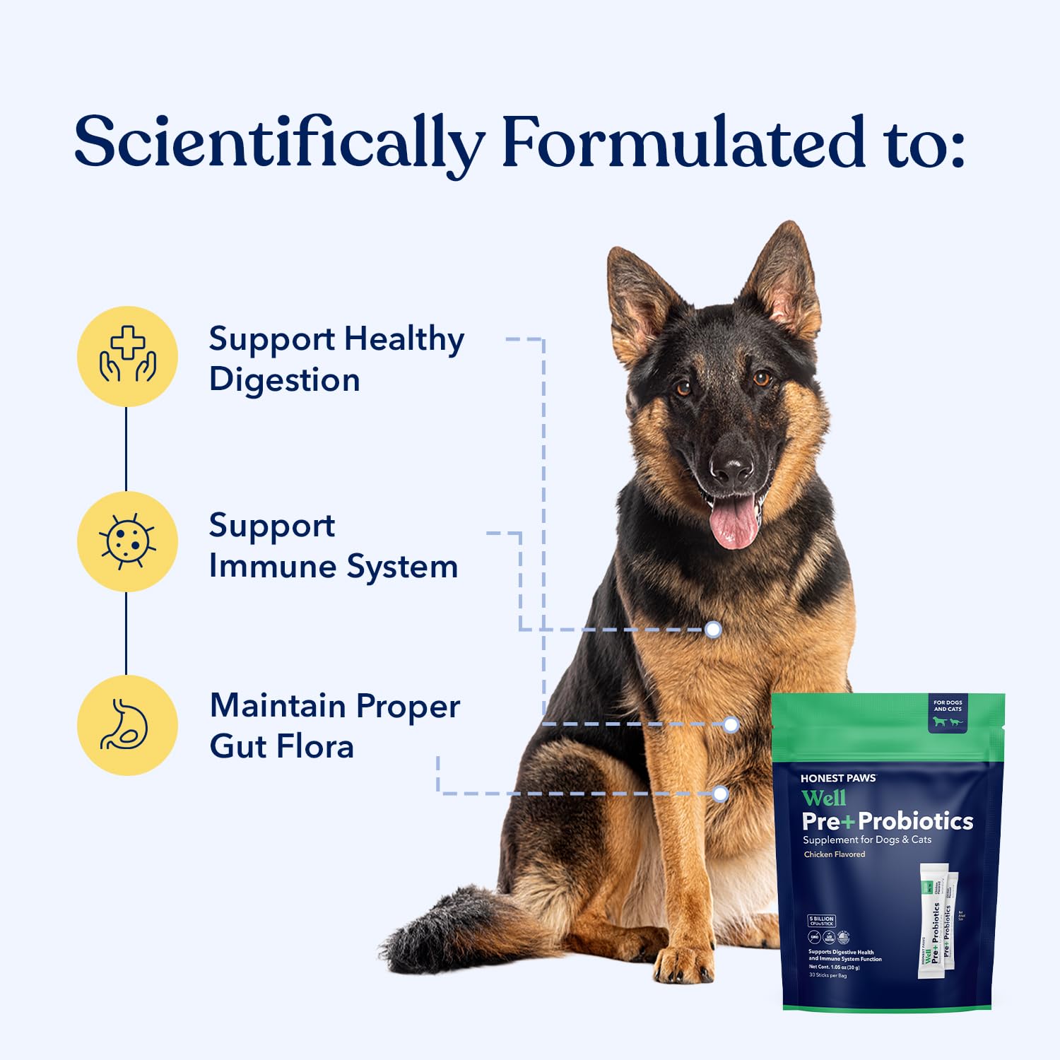 Honest Paws Probiotiques – 5 milliards CFU pour un soutien digestif prudent.