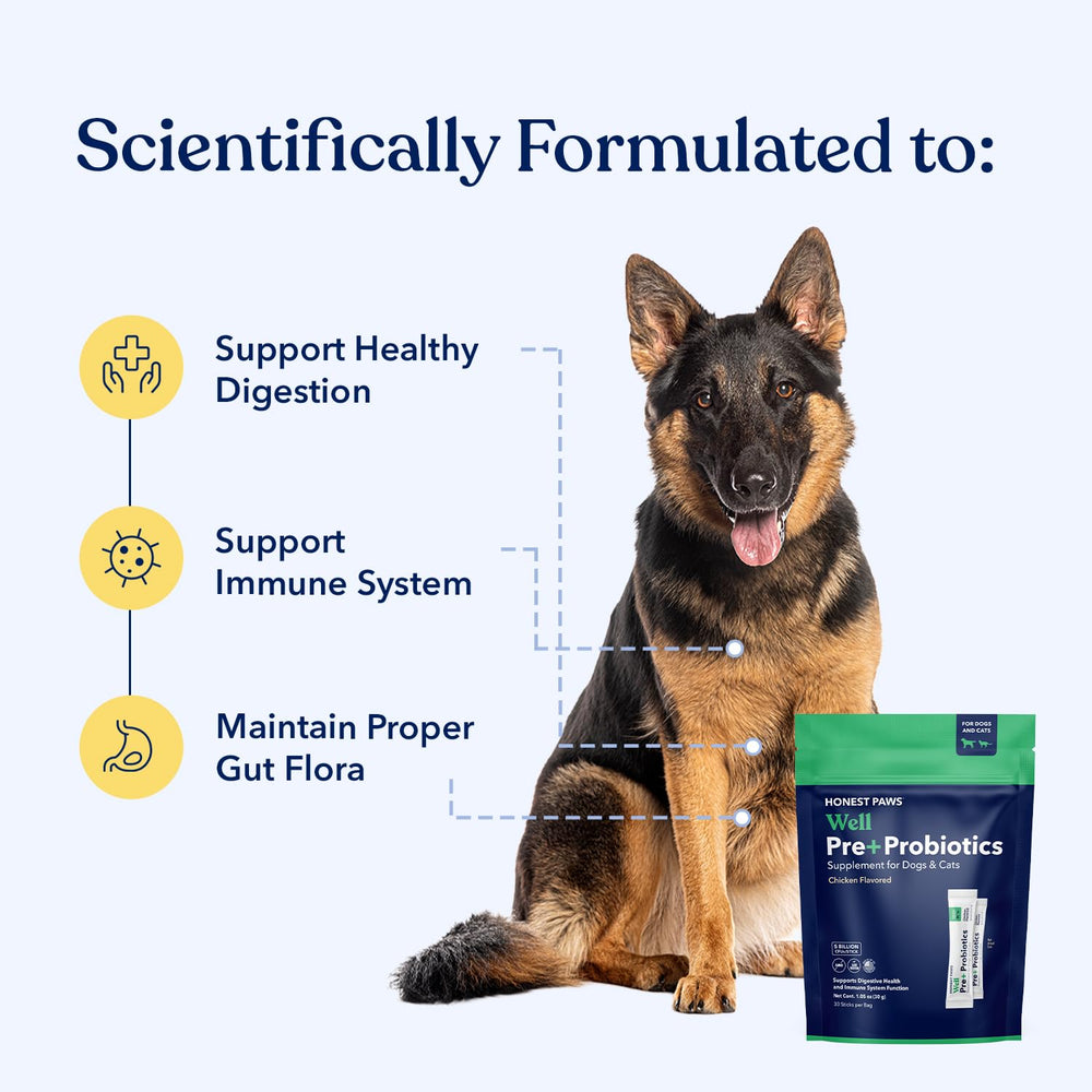 Honest Paws Probiotiques – 5 milliards CFU pour un soutien digestif prudent.