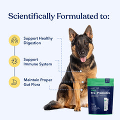 Honest Paws Probiotiques – 5 milliards CFU pour un soutien digestif prudent.