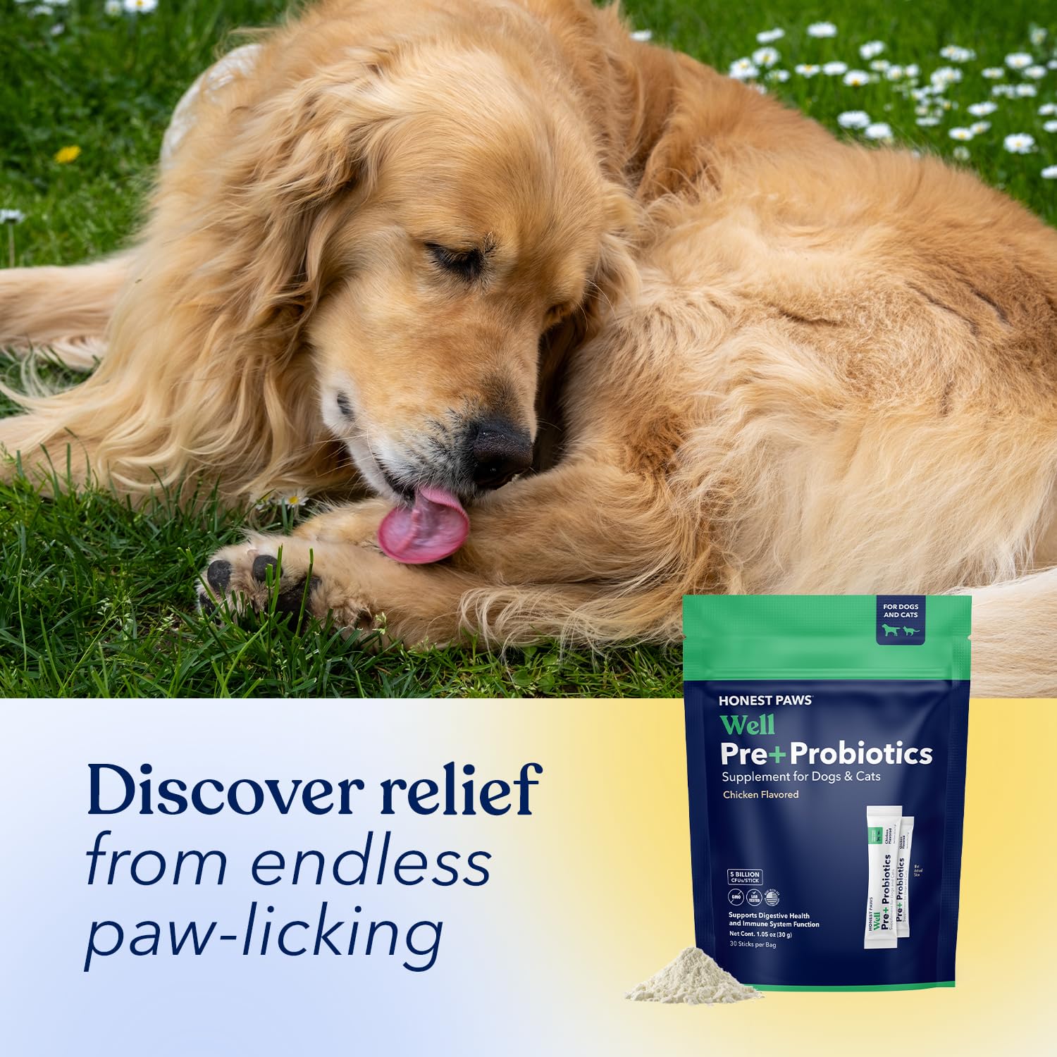 Honest Paws Probiotiques – dosage quotidien simple, sans cuillère, sur la nourriture.