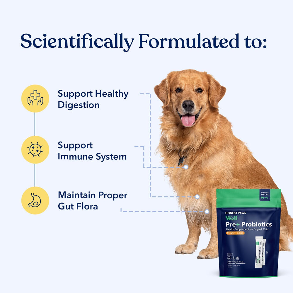 Cuillère et poudre Honest Paws pour dosage quotidien simple