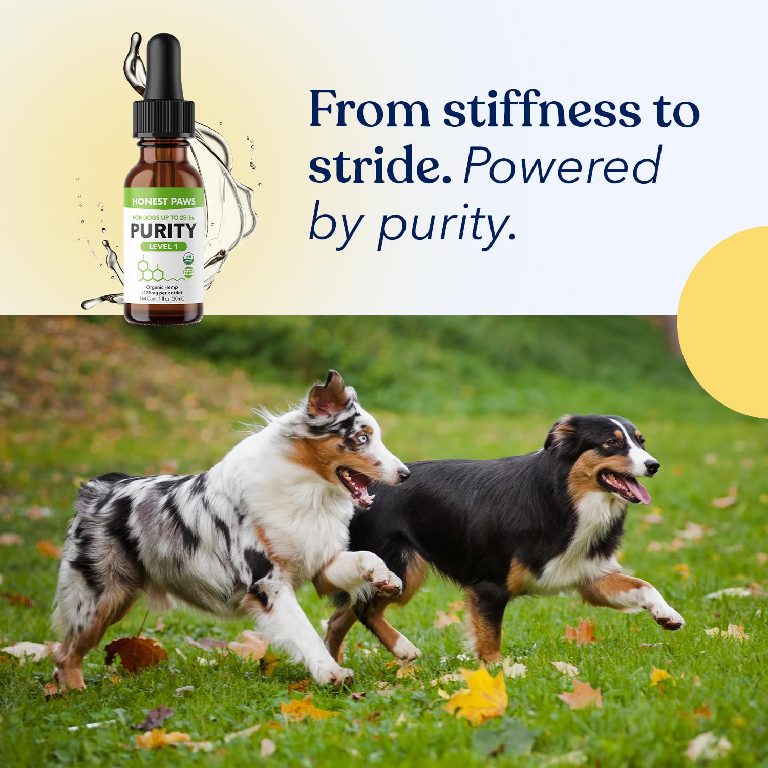 Honest Paws stress-separation chien huile : peut aider pendant les séparations ou voyages.