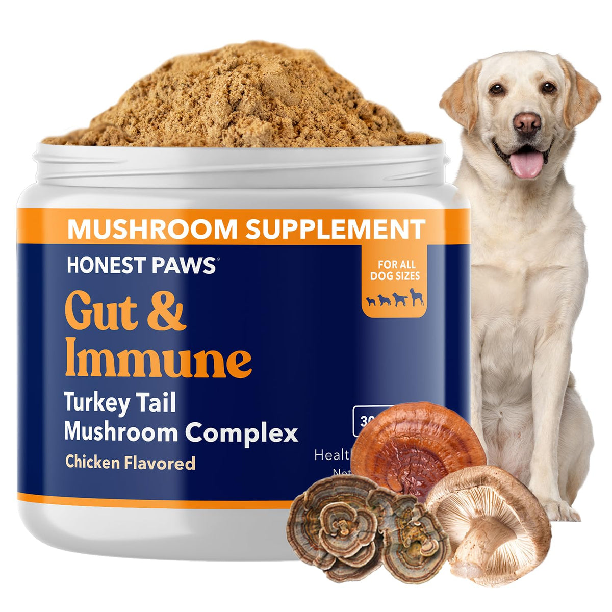 Honest Paws tramète queue de dinde pour chien, flacon et dosage pratique, soutien immunitaire.