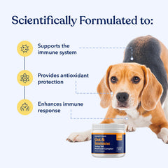 Doseur inclus pour Honest Paws tramète queue de dinde, soutien digestif.