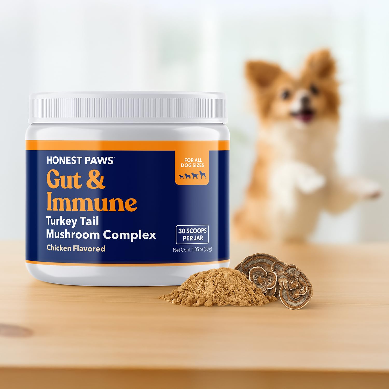 Utilisation quotidienne facile du complément Honest Paws tramète queue de dinde pour chien.