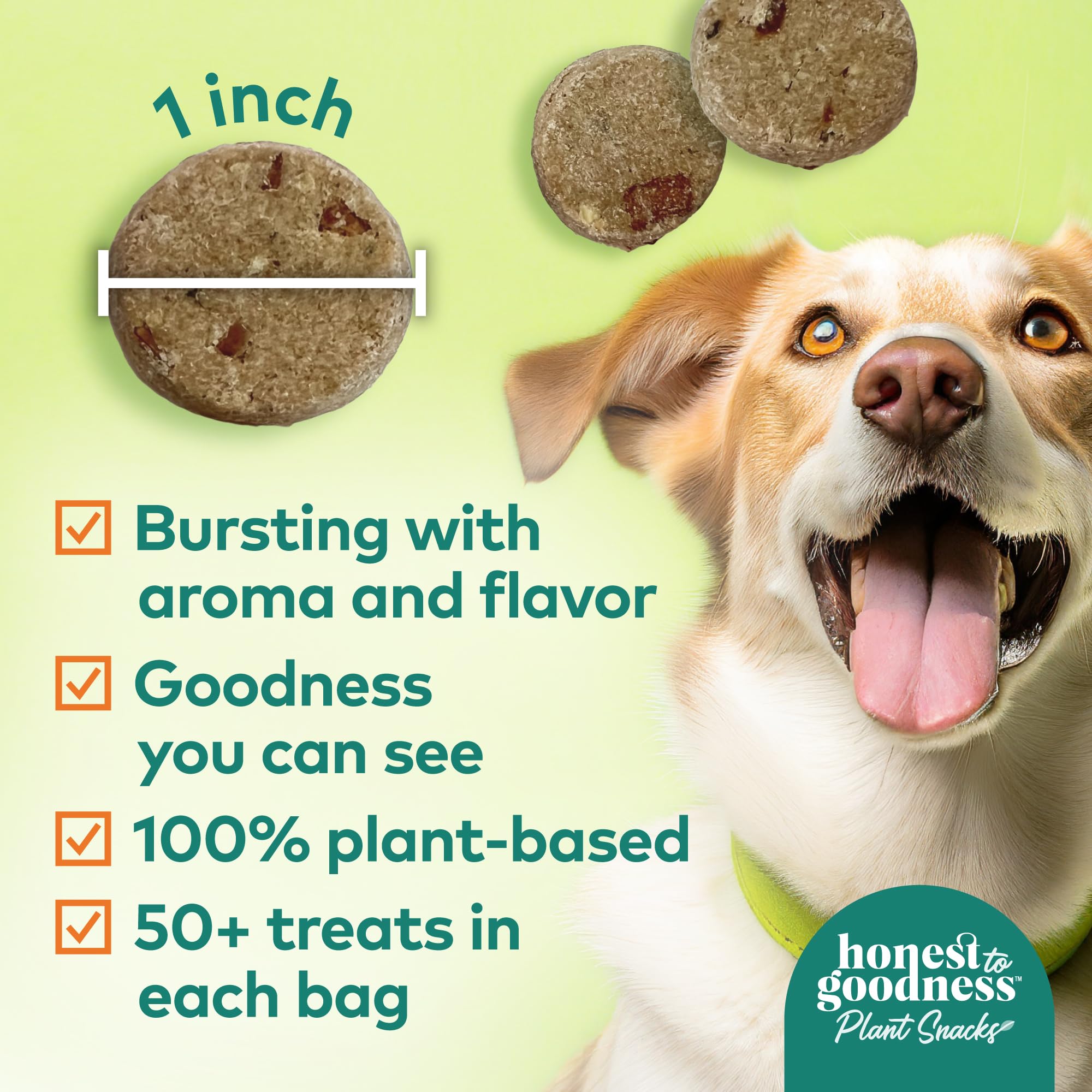Chien heureux dégustant des friandises Honest to Goodness