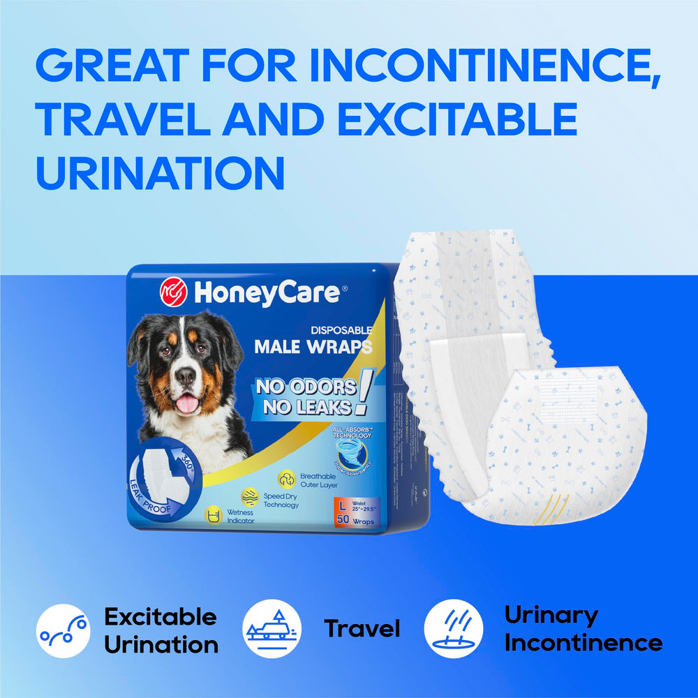 Honey Care All-Absorb A24 Wrap Male – conçu pour les tailles 25 à 32 pouces.