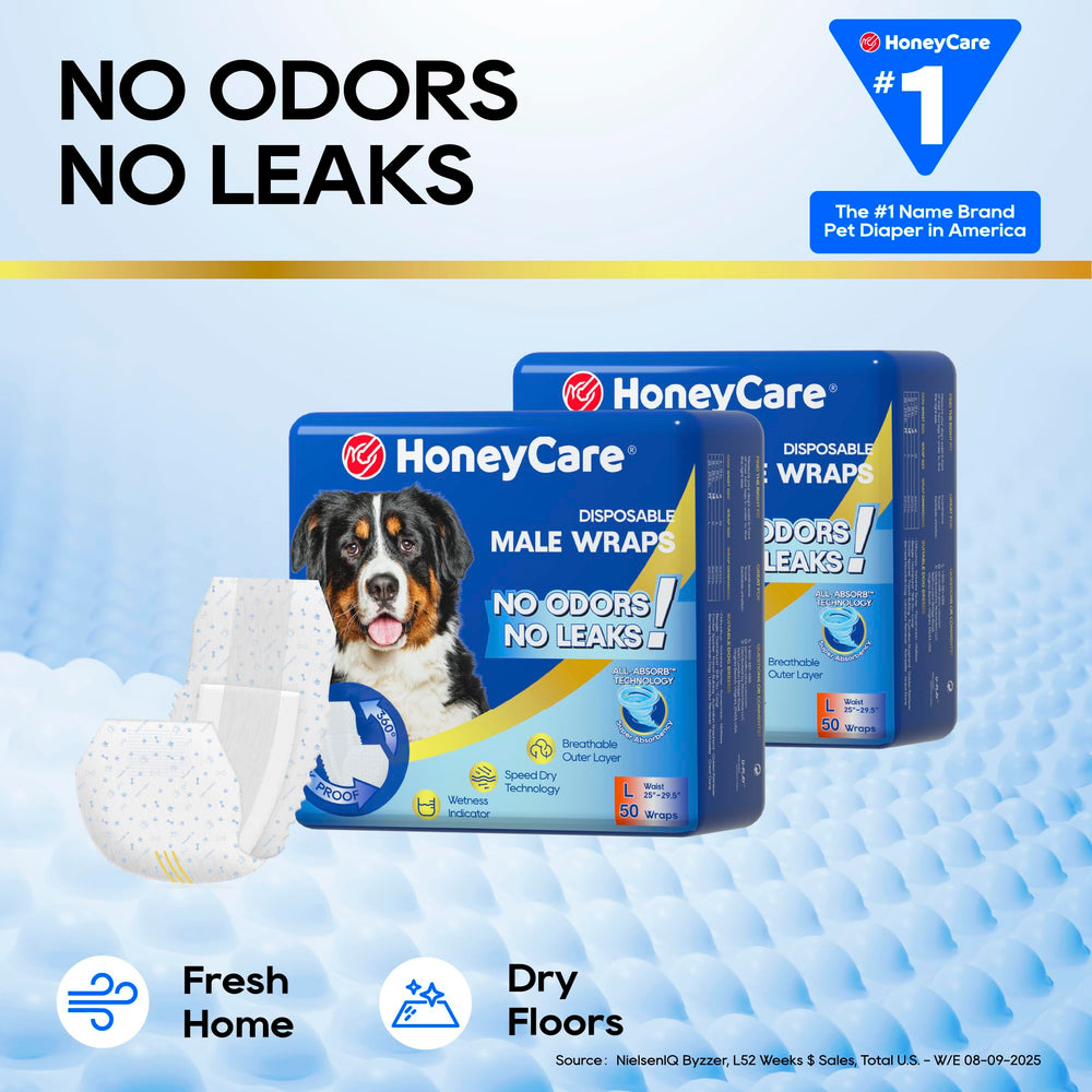 Honey Care All-Absorb A24 Wrap Male – ajustement sûr qui reste en place.