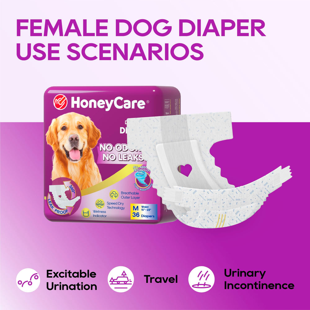 Honey Care All-Absorb: ajustement sûr même lors des mouvements.