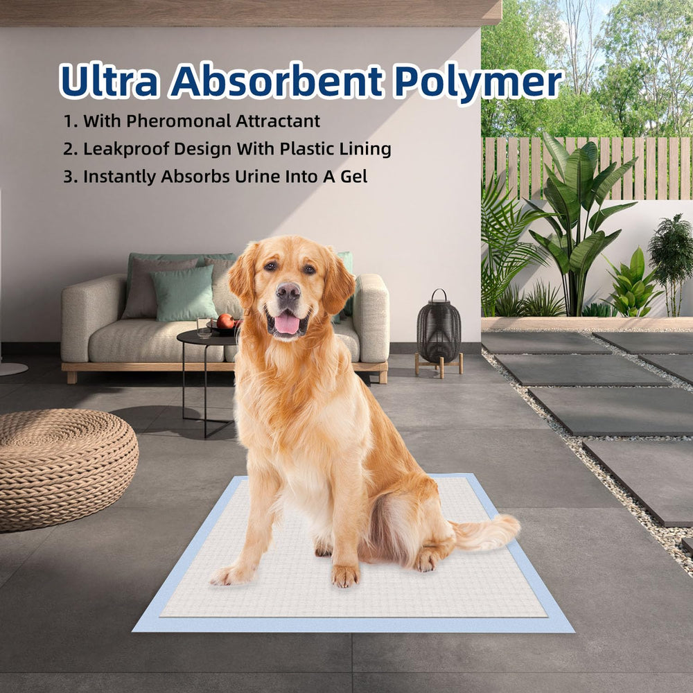 Honey Care All-Absorb XXL dos imperméable protège le sol.