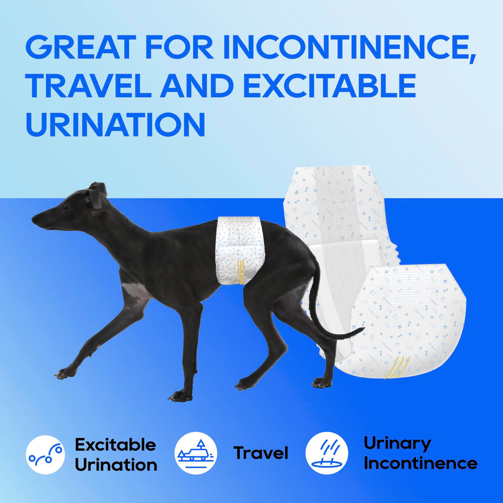 HONEY CARE All-Absorb Wrap – ajustement sûr et facile même pour les chiens agités.
