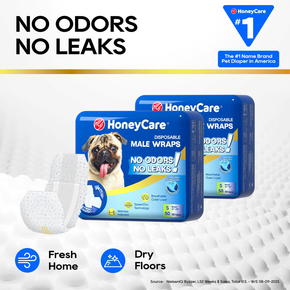 HONEY CARE All-Absorb Wrap – chien mâle porté avec maintien sûr et pelage protégé.