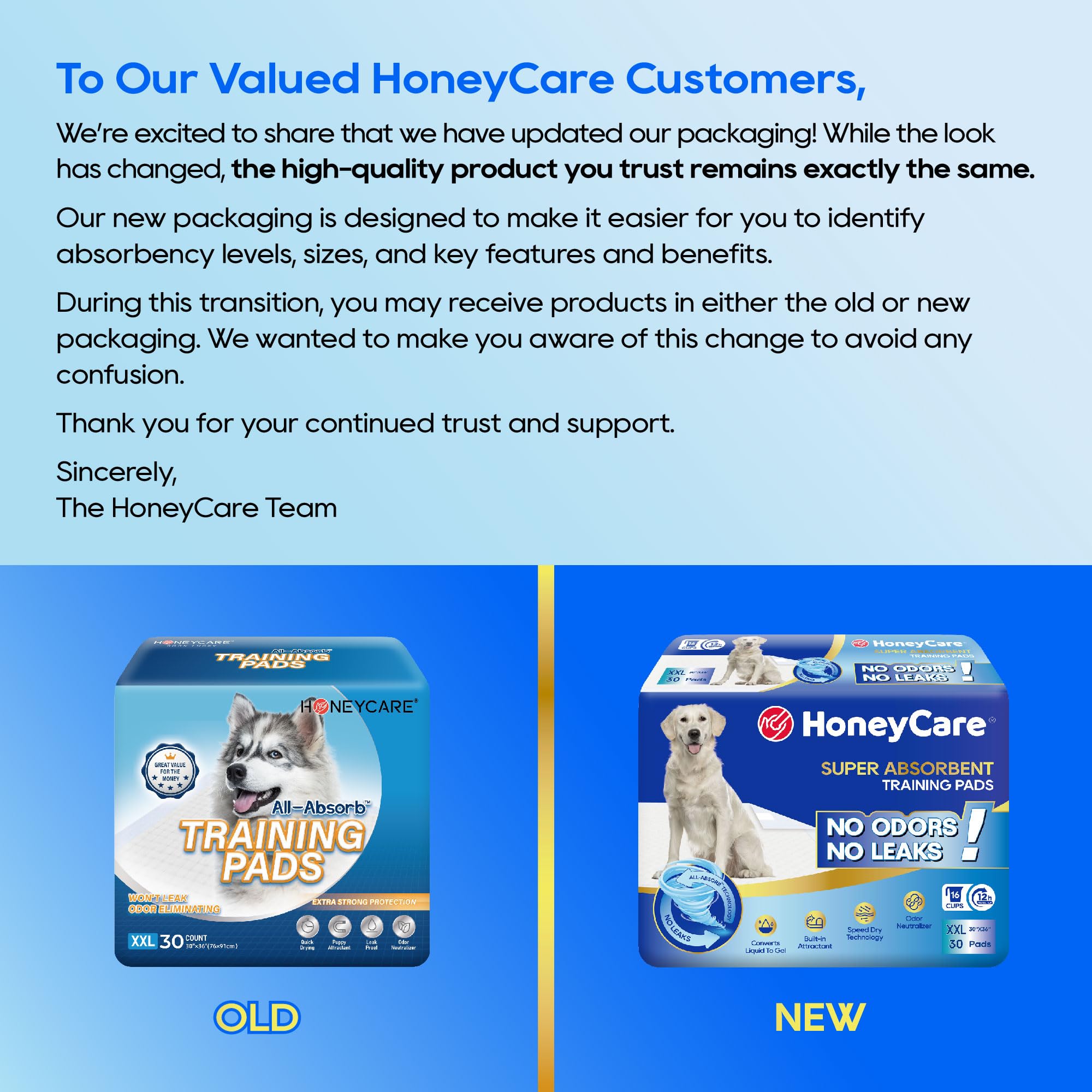 Honey Care All-Absorb XXL pad en usage, idéal pour l’entraînement canin.