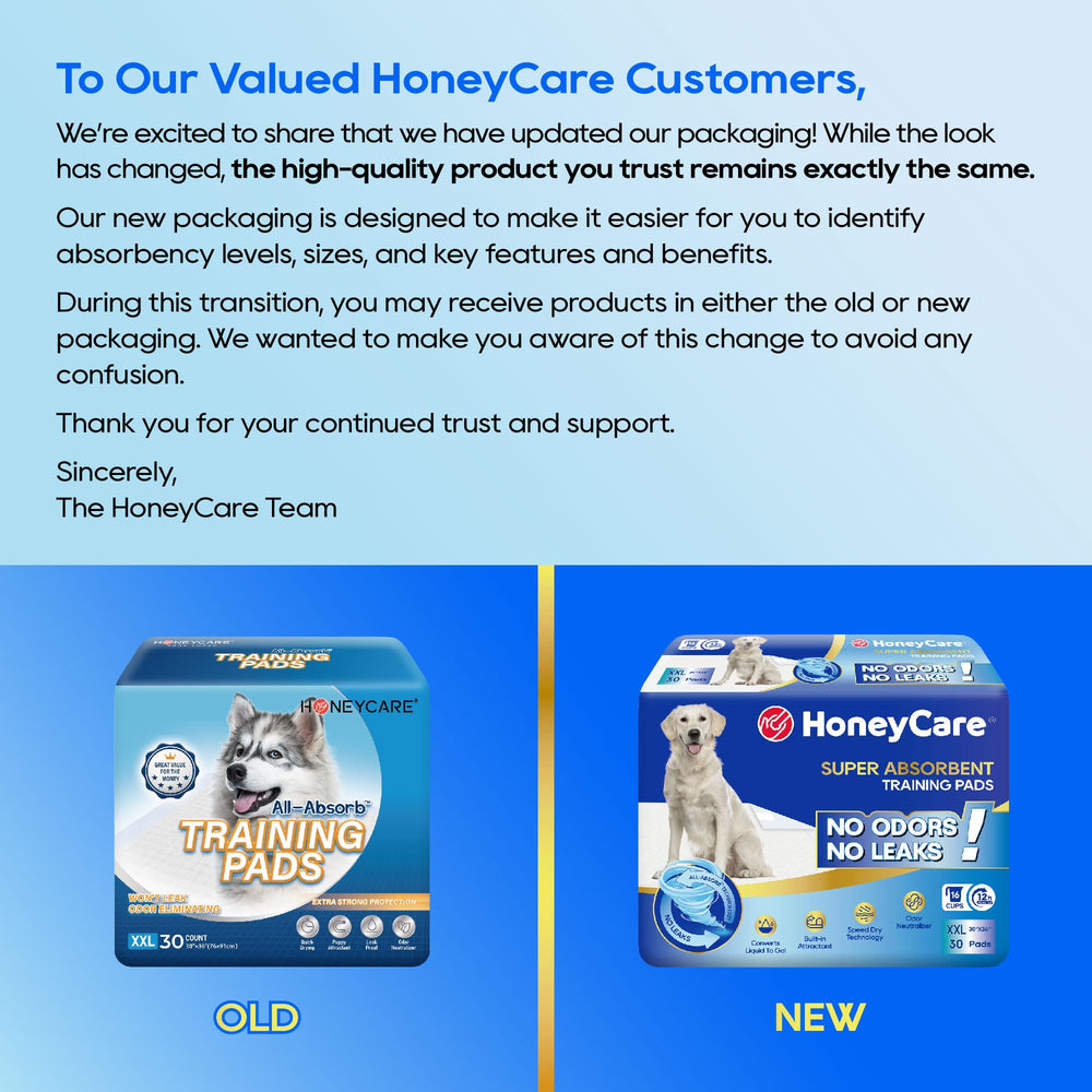Honey Care All-Absorb XXL pad en usage, idéal pour l’entraînement canin.