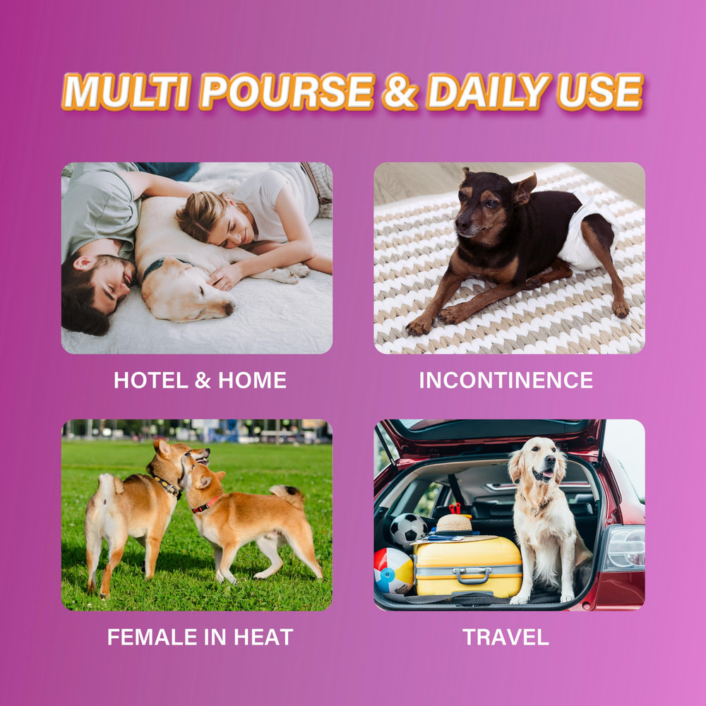 Fermeture réglable Honey Care, ajustement sûr sans accrocher le pelage.