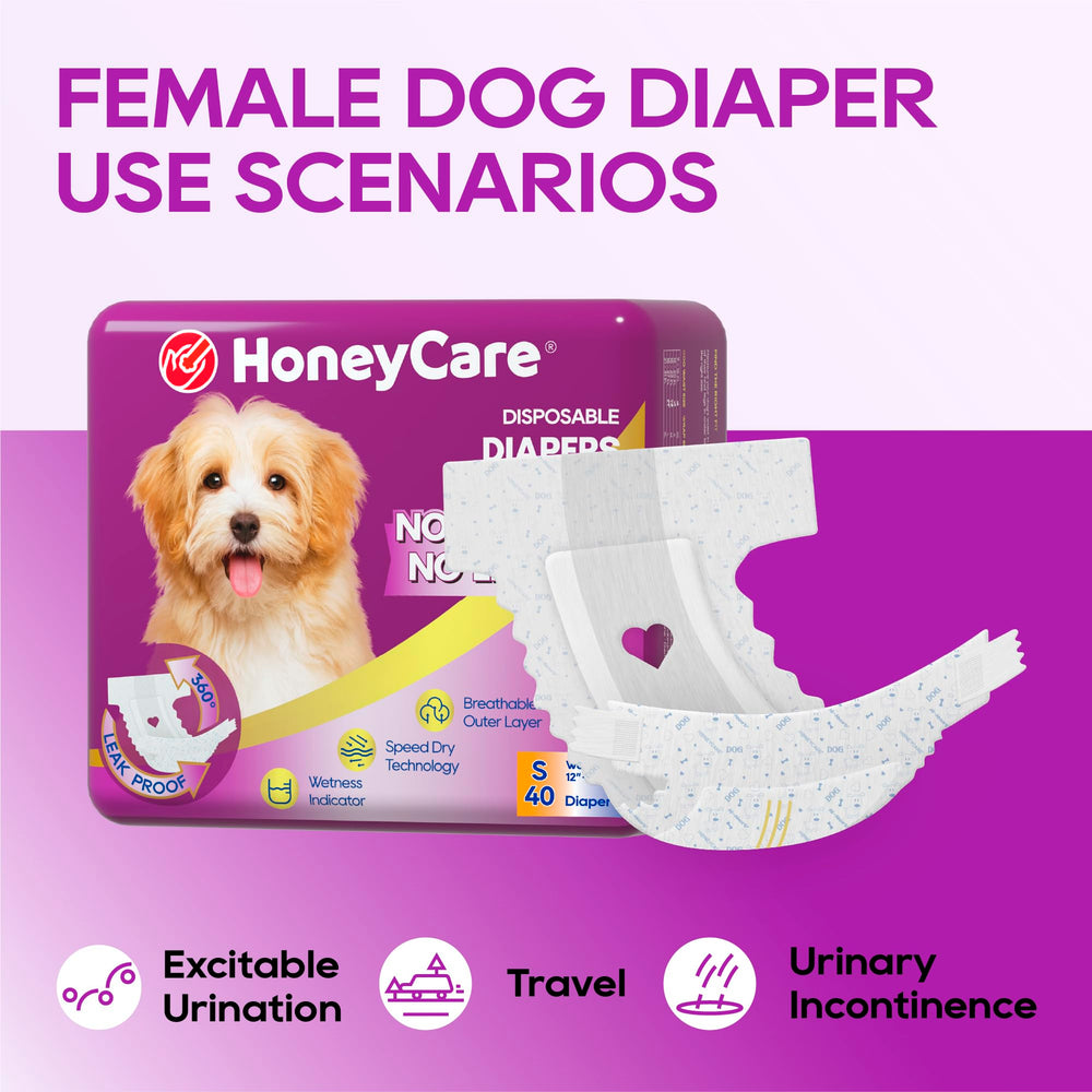 Honey Care couches pour chien - pose rapide et facile, sans stress.