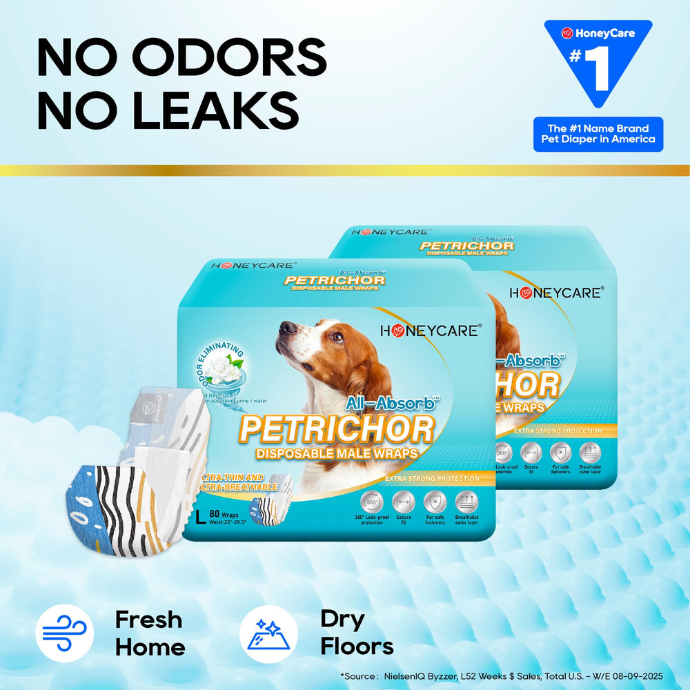Honey Care Petrichor Wraps, absorption élevée, réduction des fuites lors des activités quotidiennes.