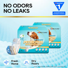 Honey Care Petrichor Wraps, absorption élevée, réduction des fuites lors des activités quotidiennes.