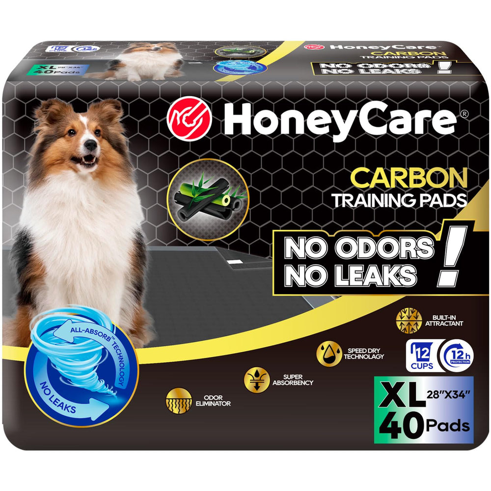 Tapis d'apprentissage HONEY CARE All-Absorb, absorption rapide et hygiène facilitée.