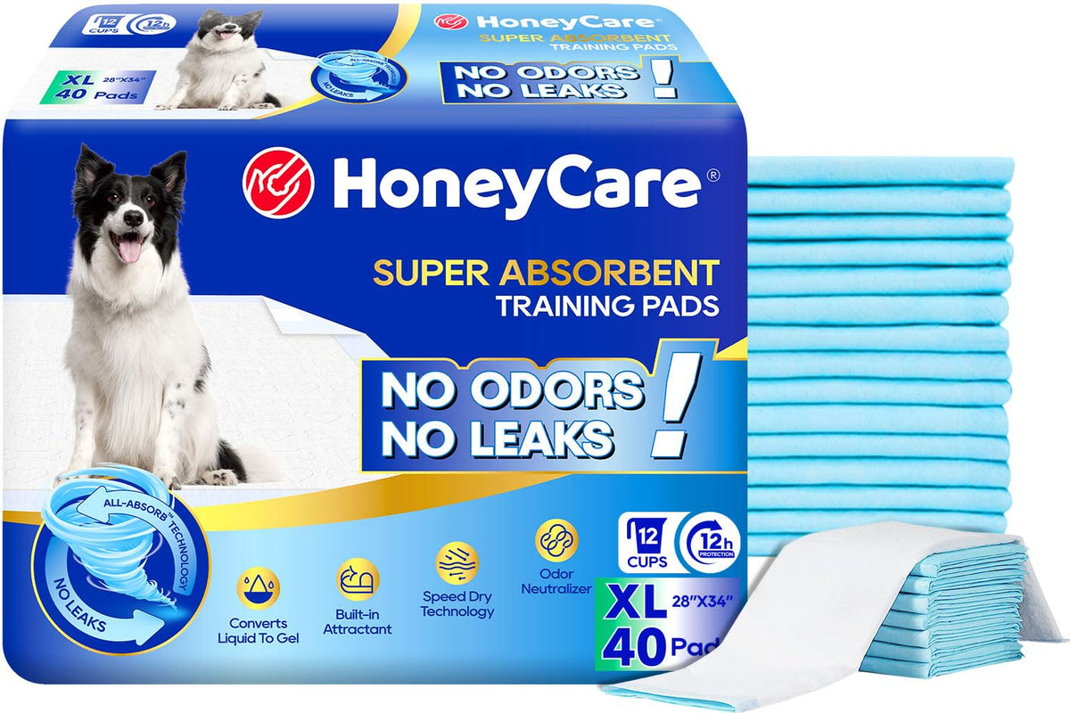 Honey Care tapis entrainement chien bleu avec absorption rapide et protection du sol.