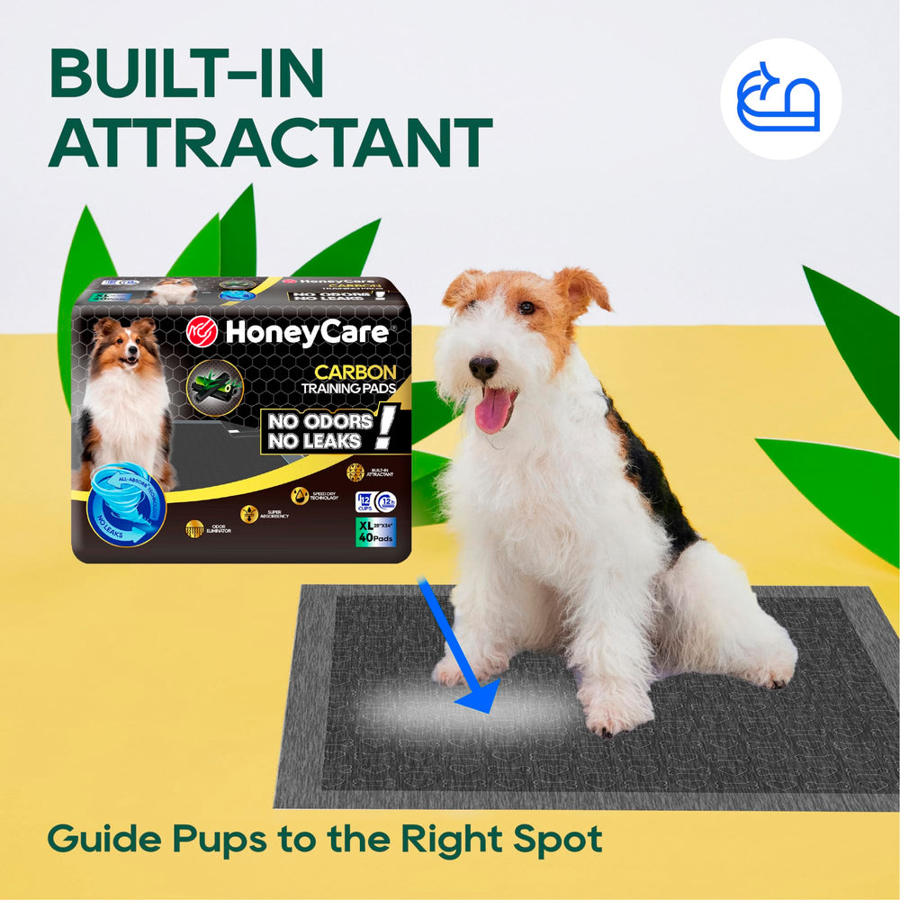 Tapis d'entraînement All-Absorb pour chiens, adapté à tous les chiens.