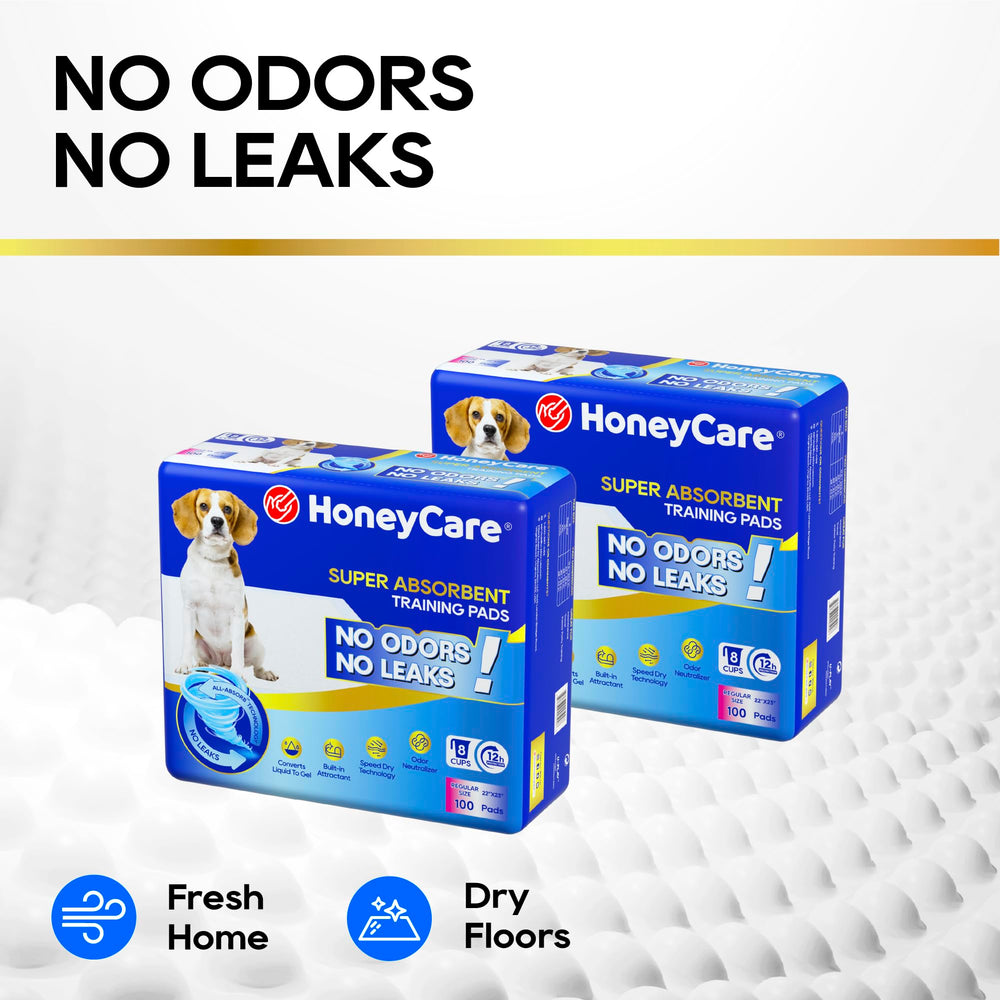 Honey Care All-Absorb idéal pour chiots et chiens âgés
