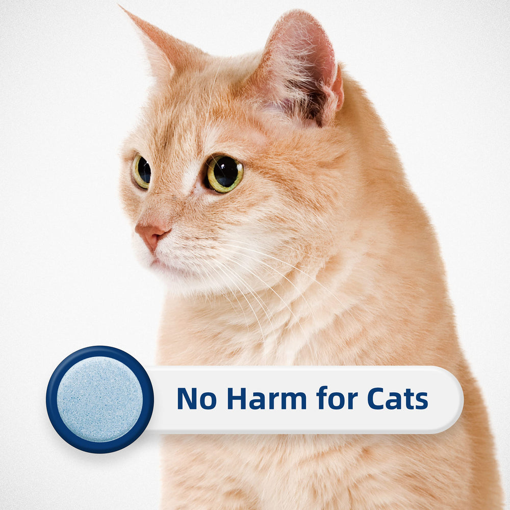 Honey Care déodorant litière chat jasmin bleu, idéal pour espaces malodorants.