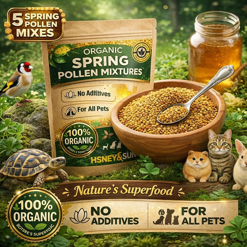 HoneySun Pollen: application quotidienne simple pour compléter le régime des reptiles.