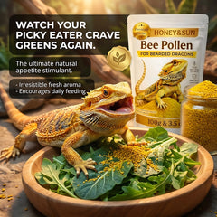 HoneySun pollen: étiquette du produit, source naturelle pour soutenir l'appétit.