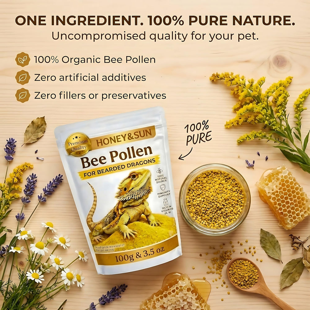 HoneySun Pollen: nutriments naturels soutenant la peau et la couleur des reptiles.