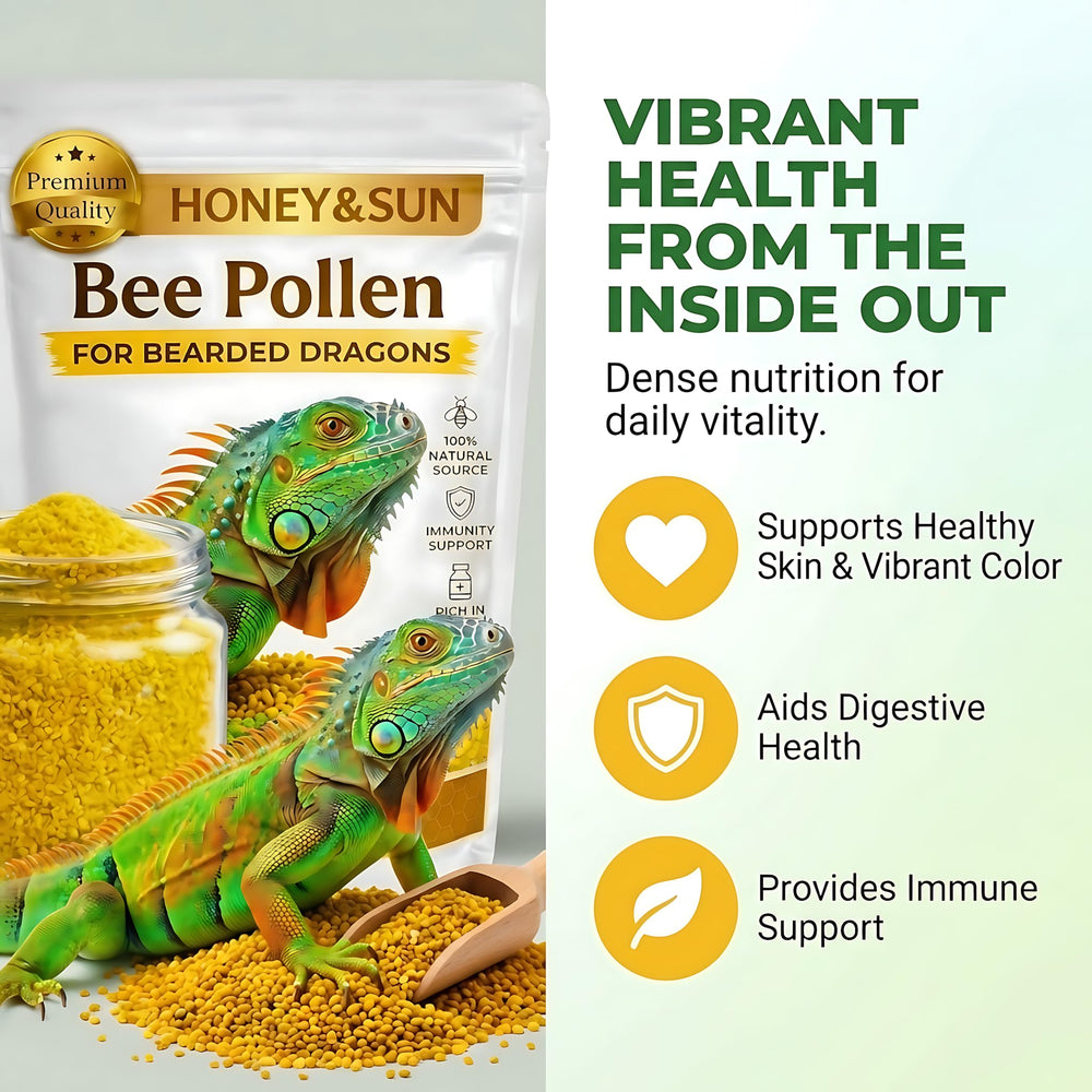 HoneySun pollen: poudre fin sur légumes frais pour la nutrition des reptiles.