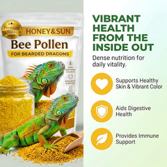HoneySun pollen: poudre fin sur légumes frais pour la nutrition des reptiles.