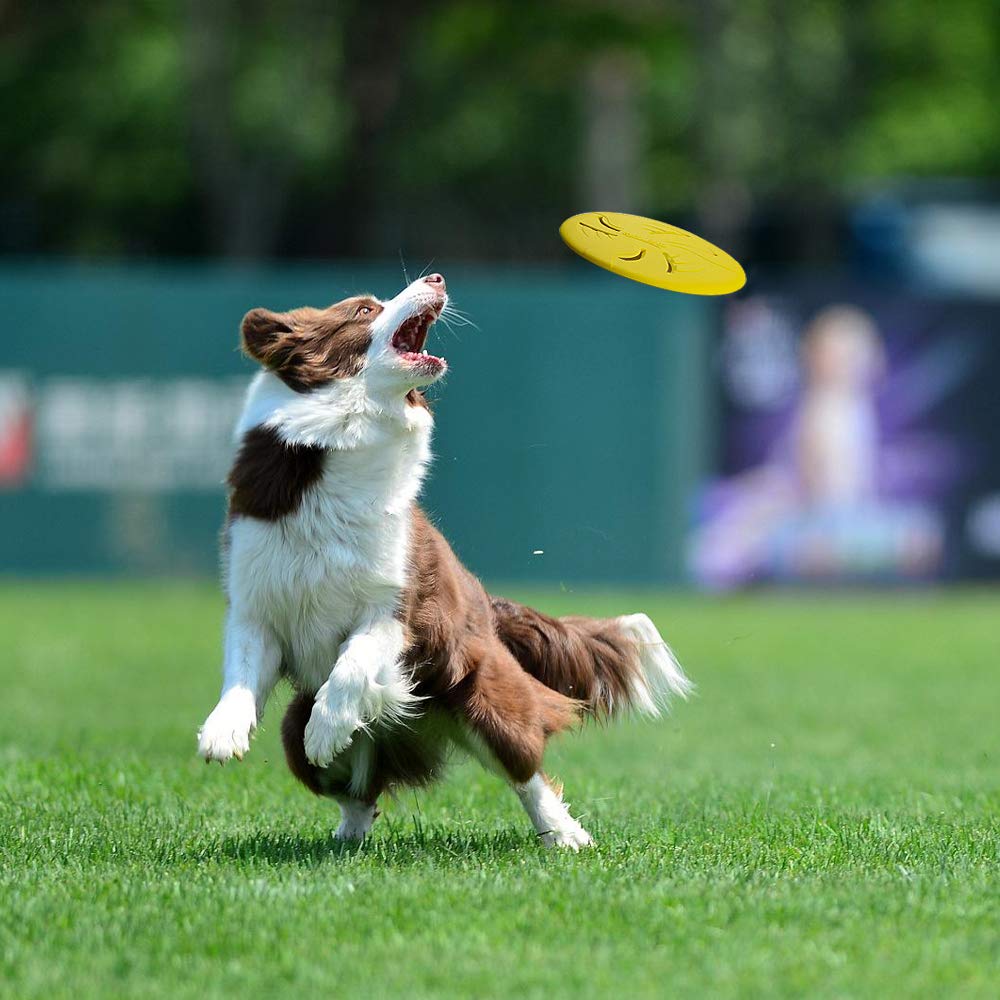 HONGEZEY frisbee d’entraînement violet, lancers précis et rapides en extérieur.