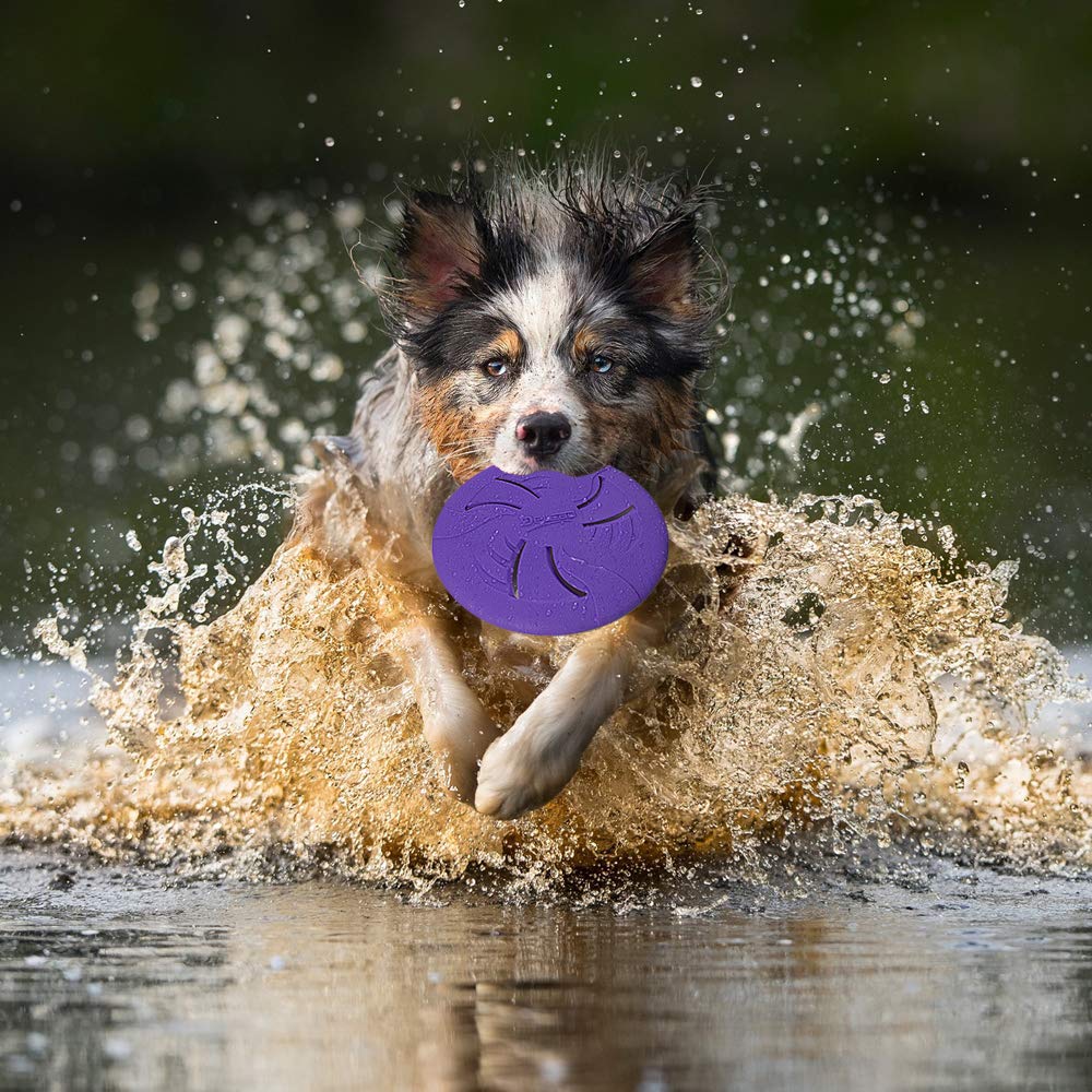 HONGEZEY jouet frisbee plein-air violet, excellent pour exercice et amusement.
