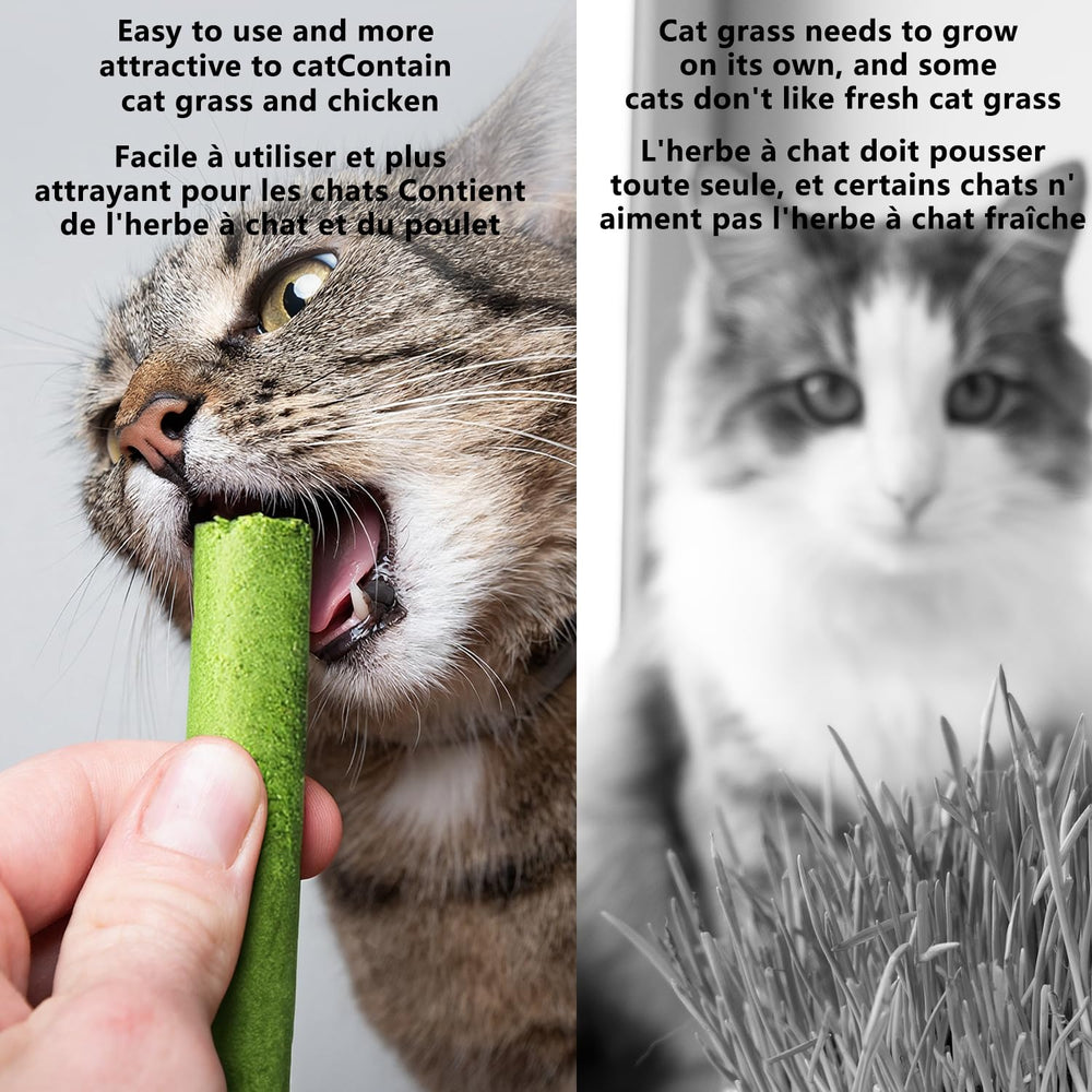 HONGYEE-aide-boules-poils-chat: peut aider à l'élimination naturelle des poils.