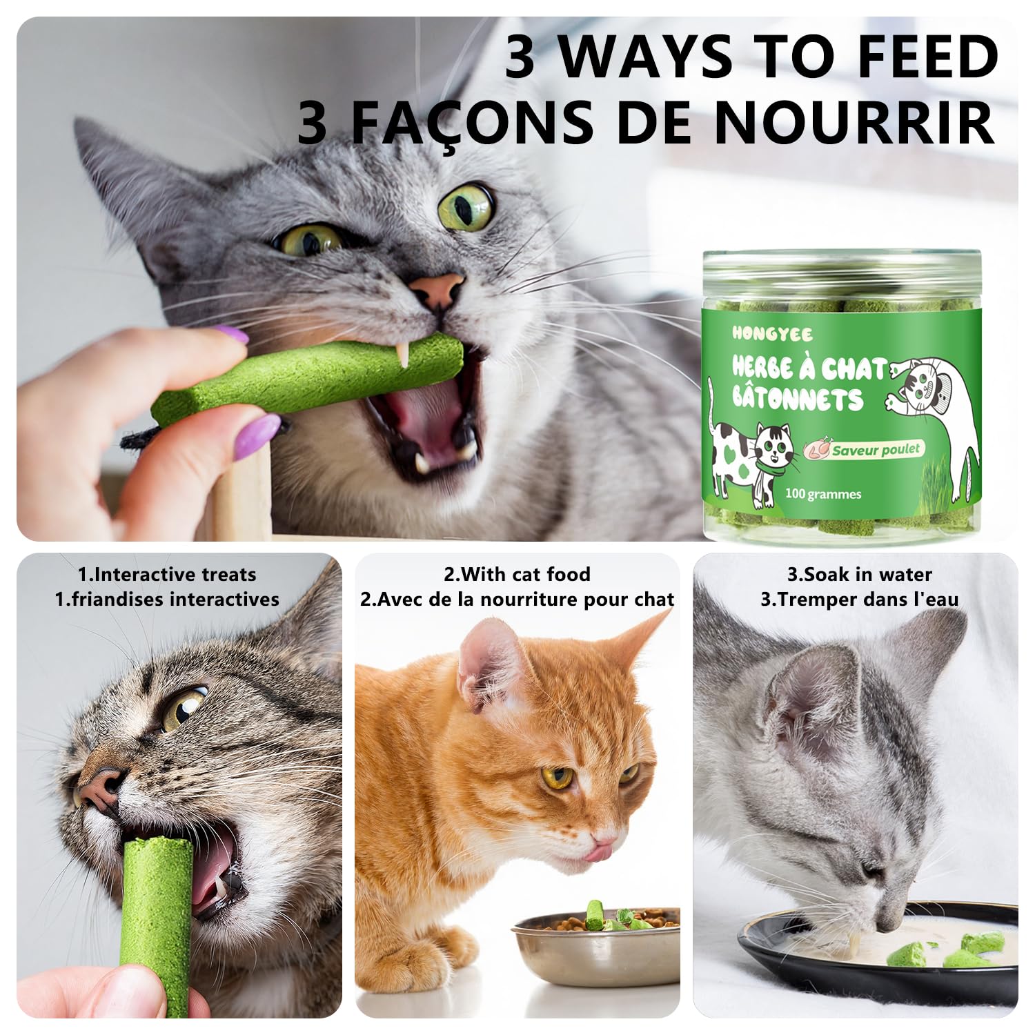 HONGYEE-collation-chat-dentale: routine buccale simple et pratique.