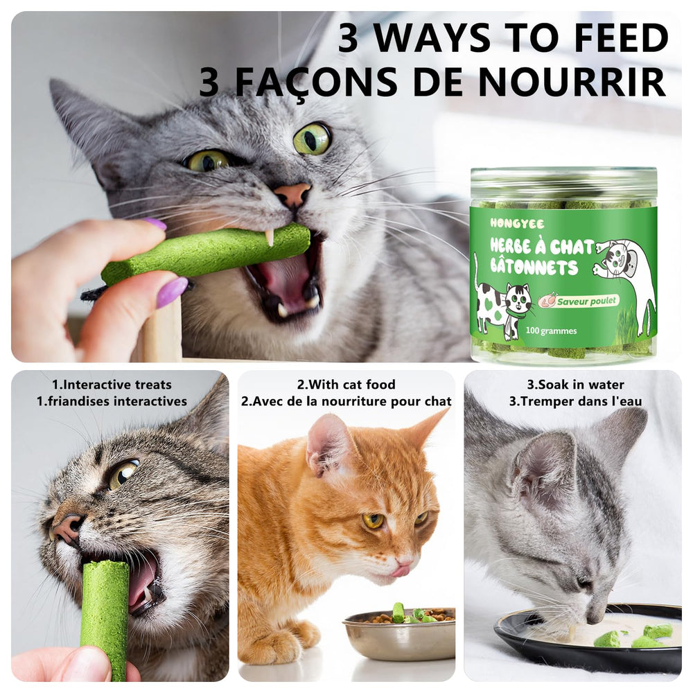 HONGYEE-collation-chat-dentale: routine buccale simple et pratique.