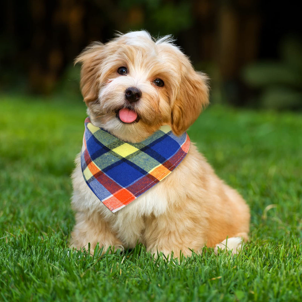 Honoson bandana chien plaid activites exterieures, idéal pour sorties et photos.