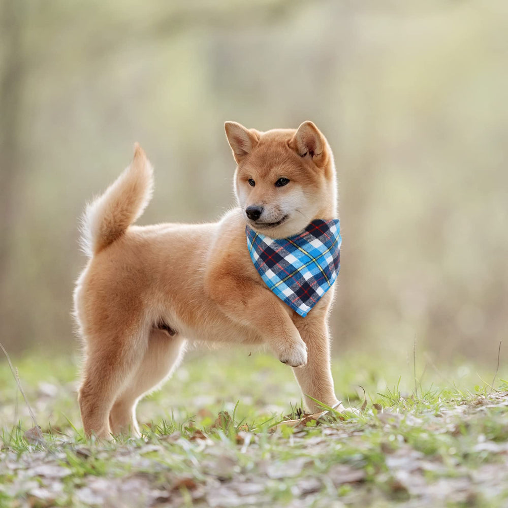 Honoson bandana chat plaid lavable, prêt à affronter les tâches quotidiennes.