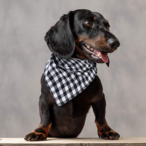 Bandana Honoson lavable en plaid, pratique pour fêtes et photos.